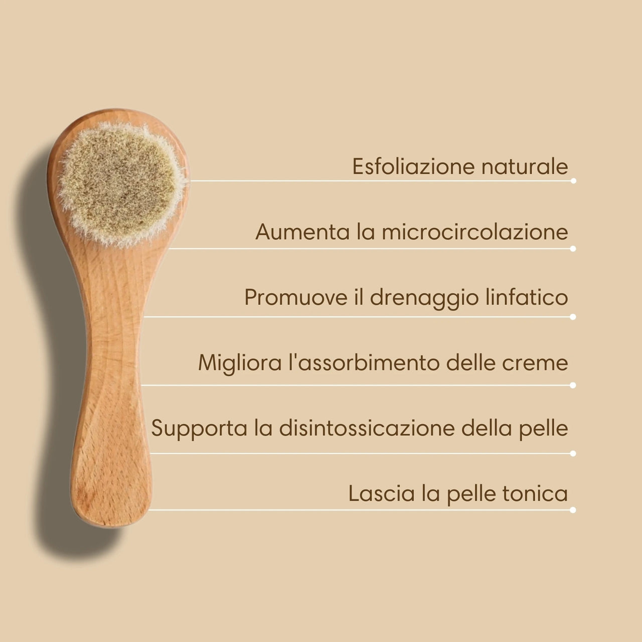 Mini iBrushy Viso